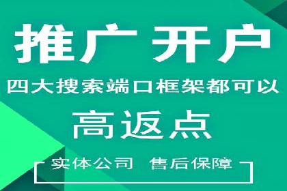 谷歌竞价案例：成功案例分析及启示